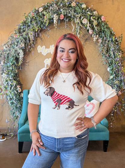 Pawsitive Vibes Sweater Top